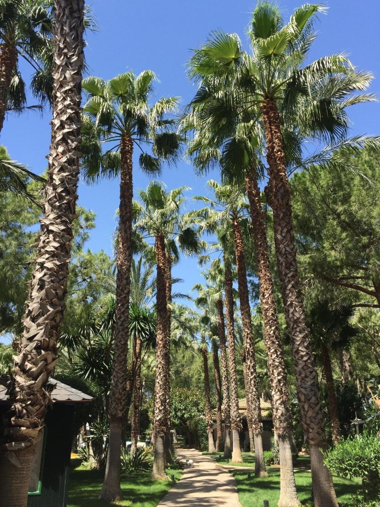 Ferienvilla El Oasis