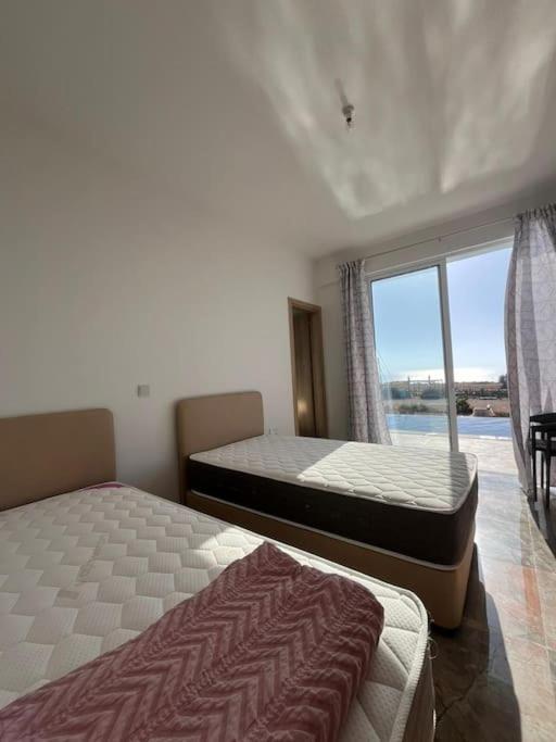 Queen Eyridiki Luxury Villa 2