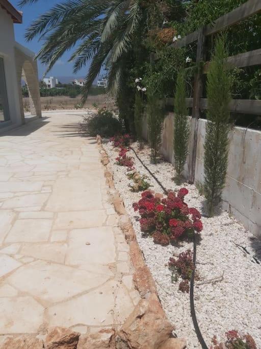 Queen Eyridiki Luxury Villa 2