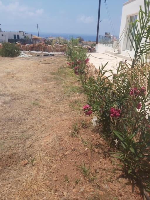 Queen Eyridiki Luxury Villa 2