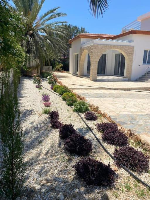Queen Eyridiki Luxury Villa 2