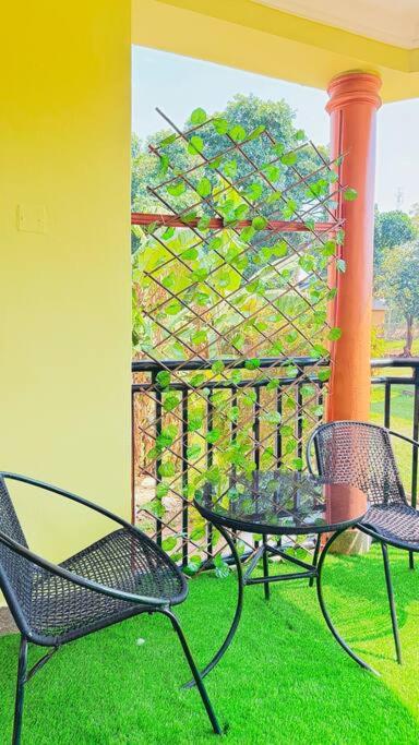 The Croft Homes Jinja - Zebra view 4