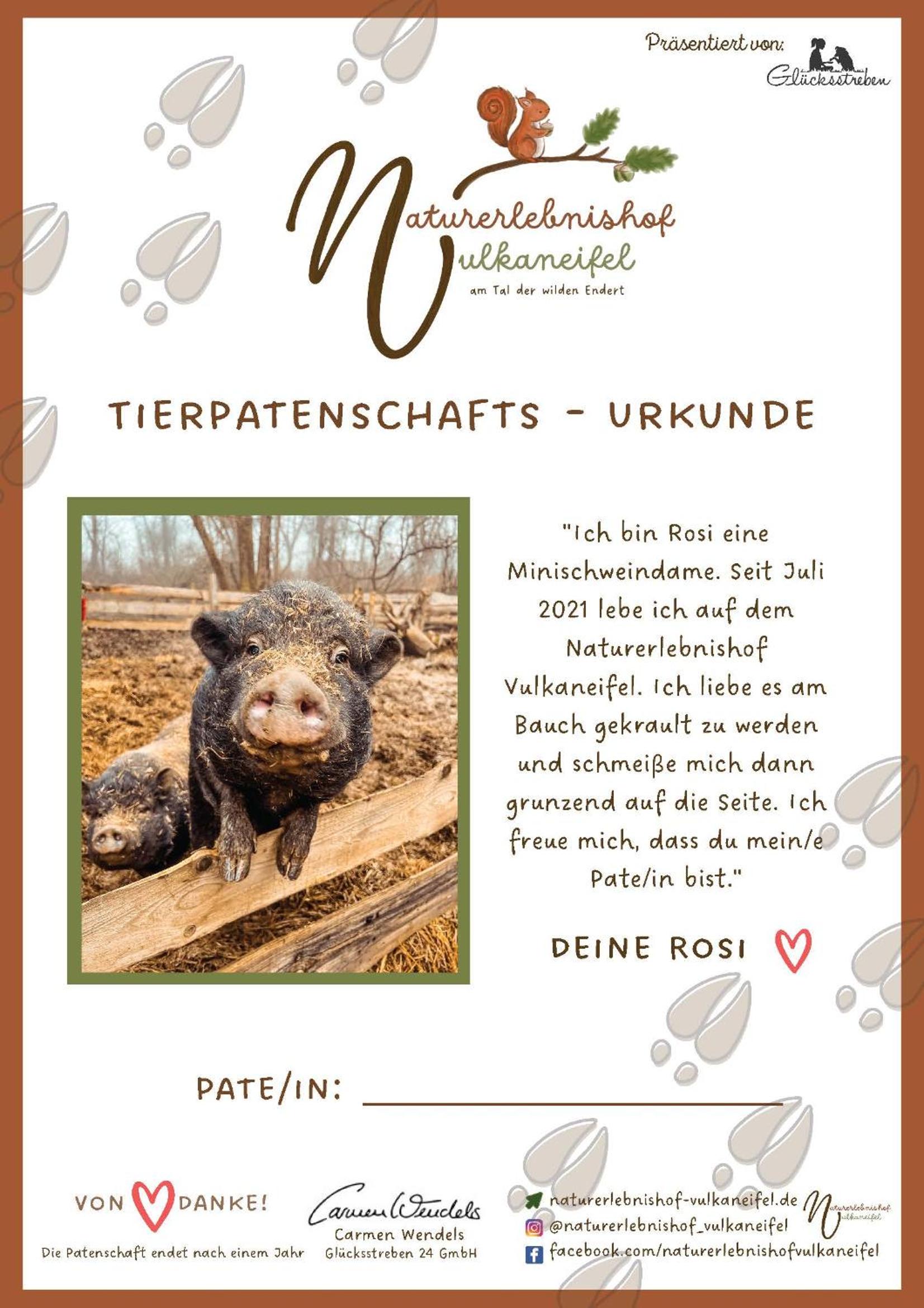 Ti's Herberge