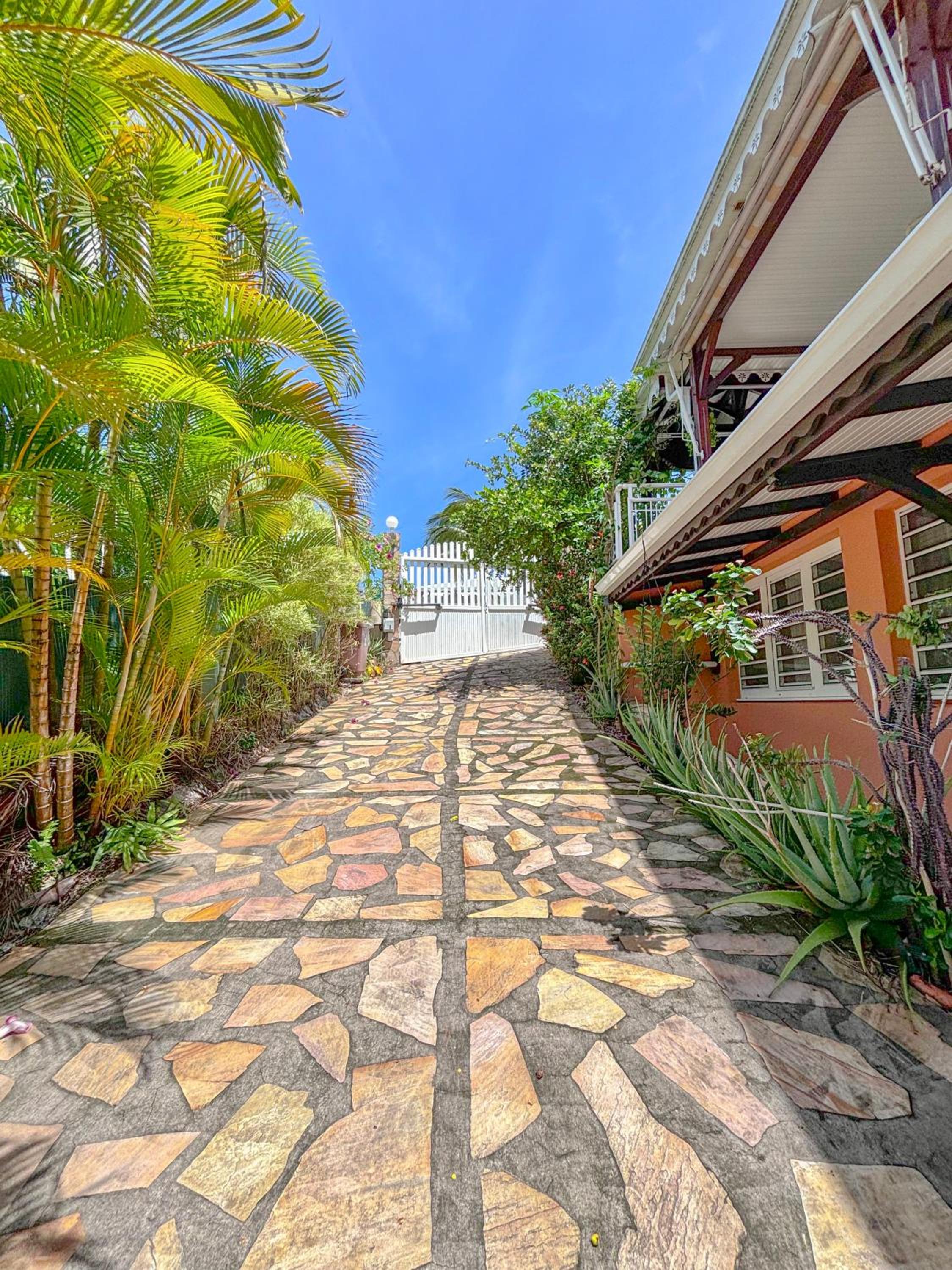 Gran Bwa la villa west indies view 5