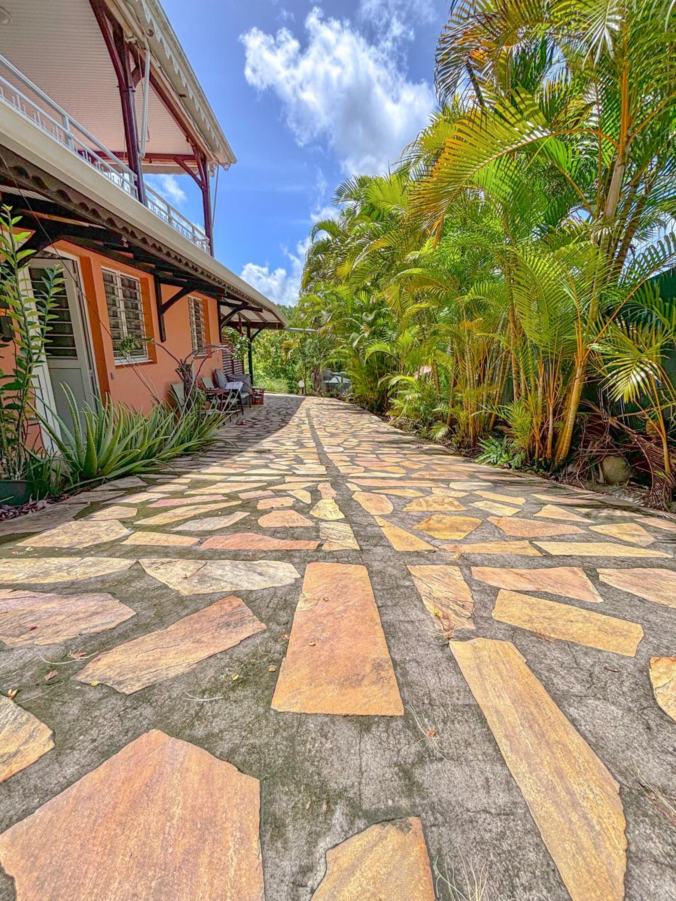 Gran Bwa la villa west indies view 4