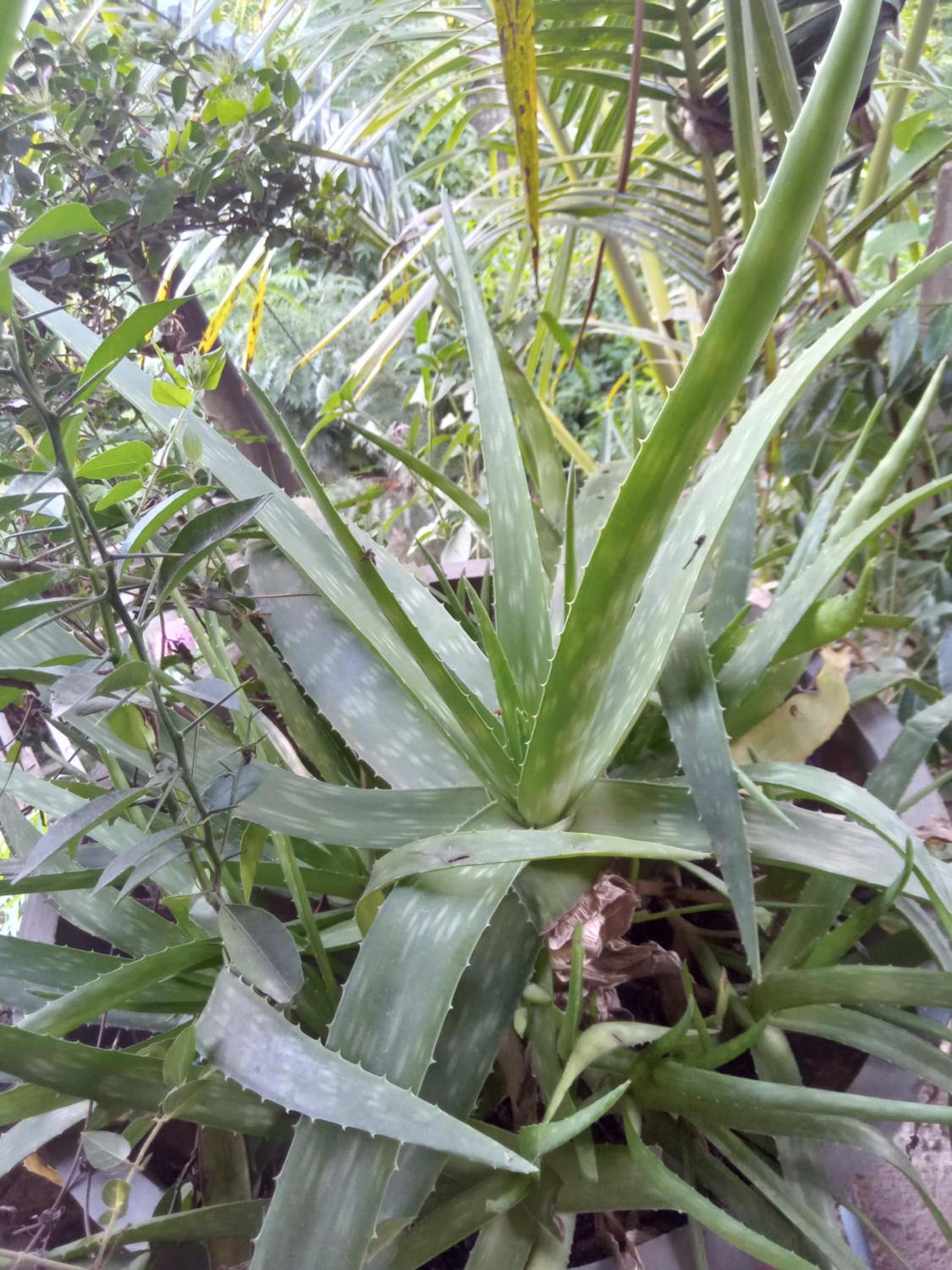 Photo 78