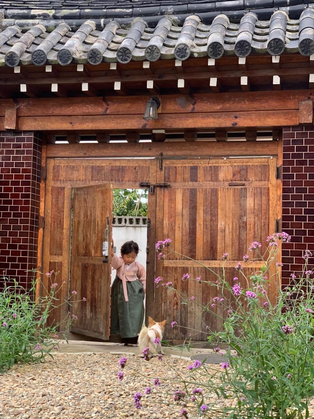 Verbena Hanok