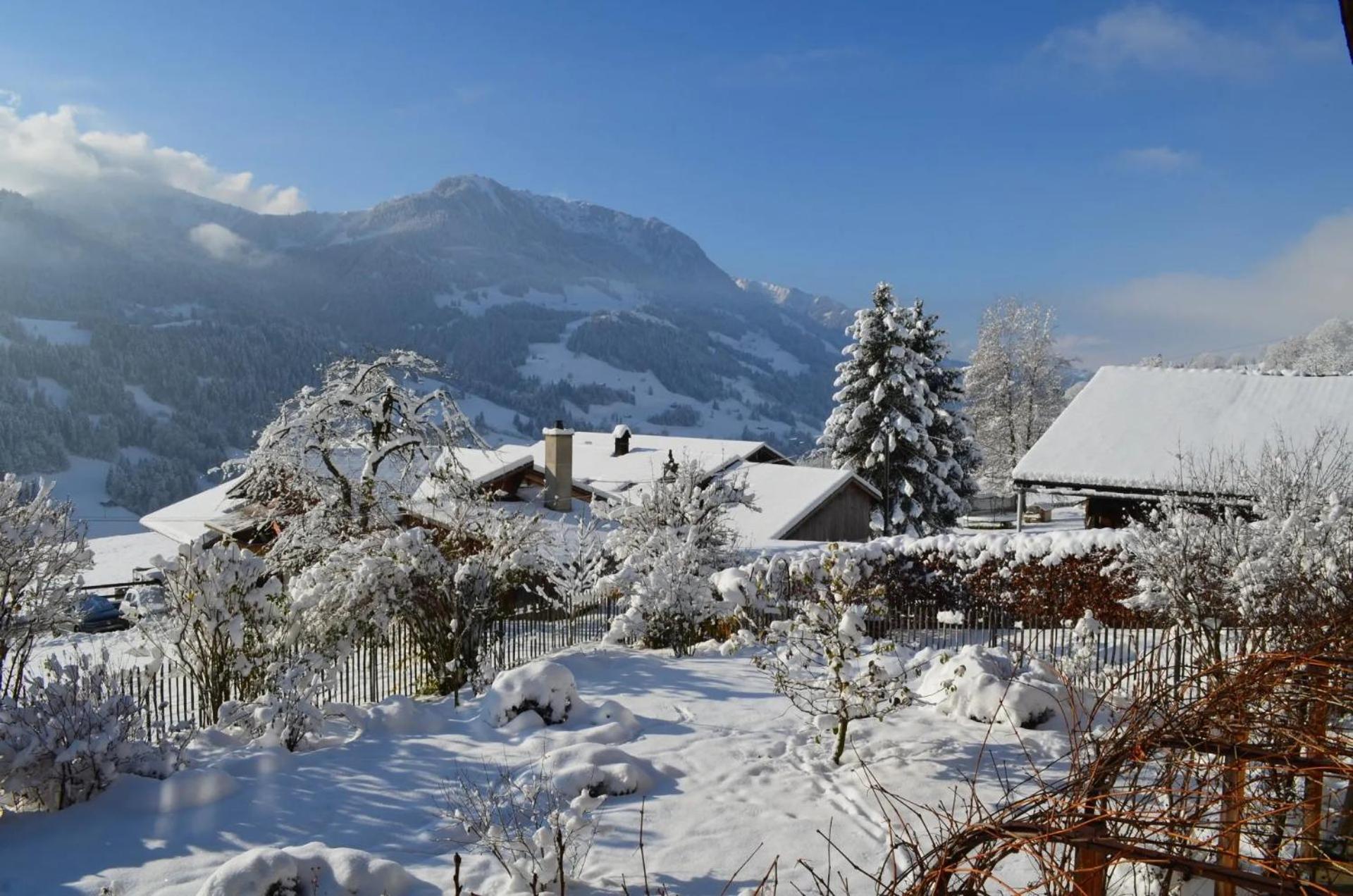 Swiss Mountain-Valley View Lodge