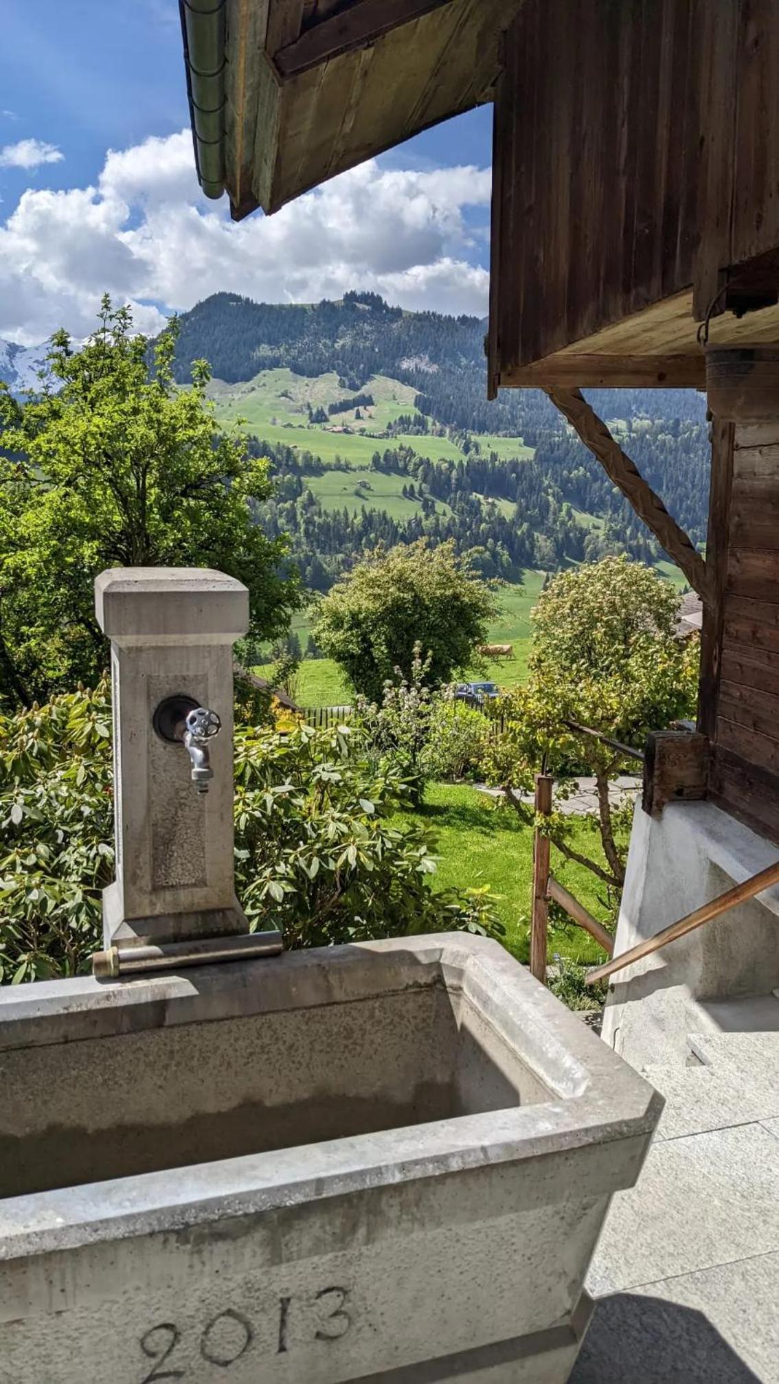 Swiss Mountain-Valley View Lodge