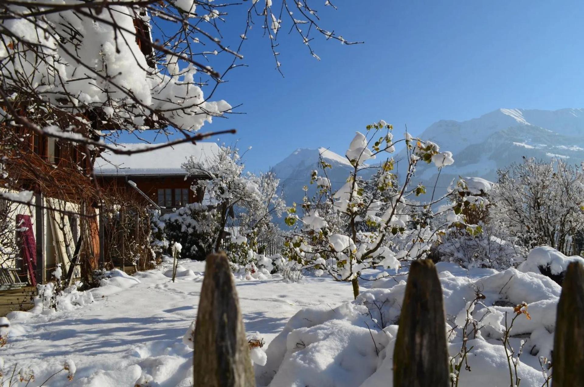 Swiss Mountain-Valley View Lodge