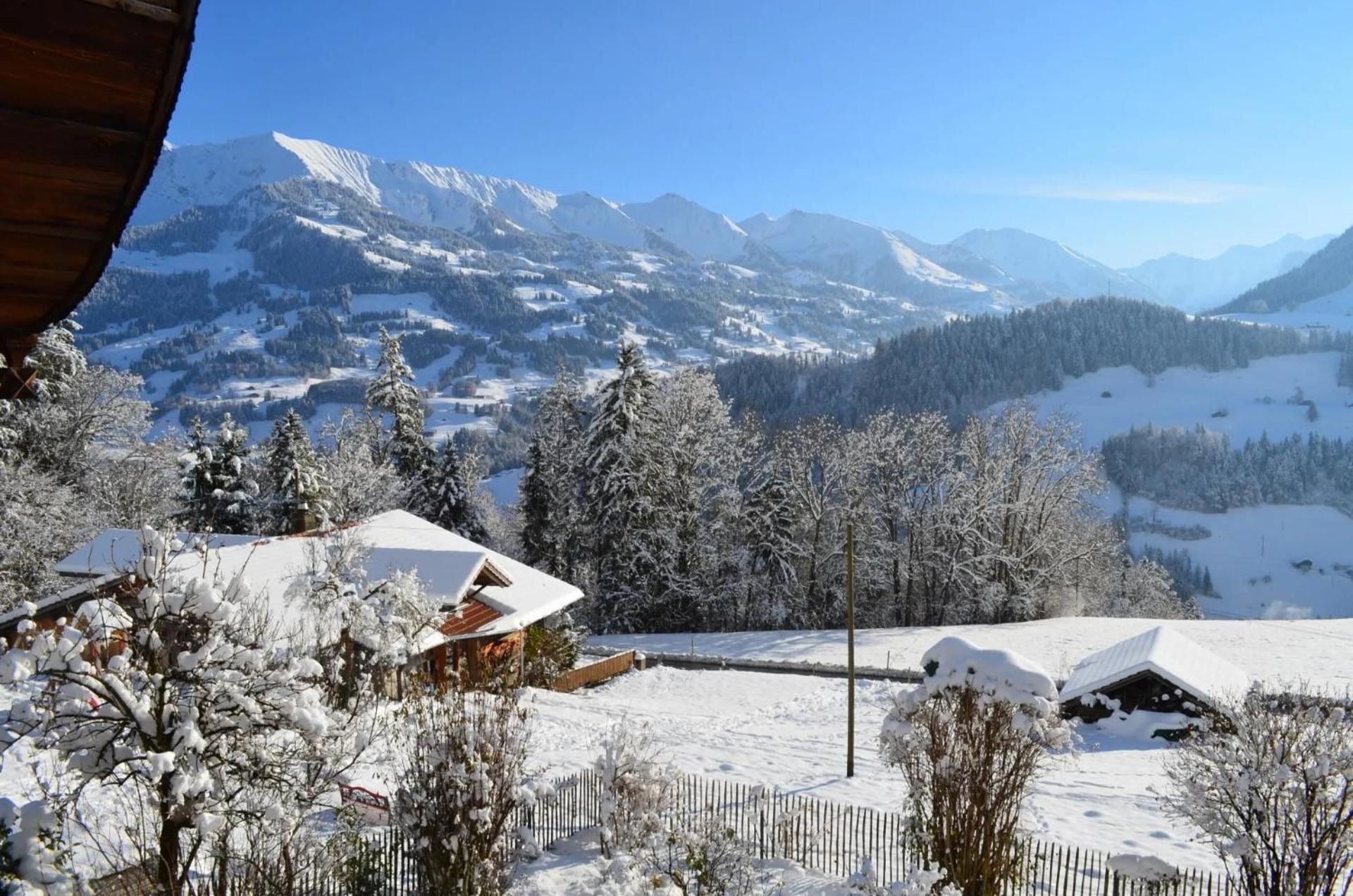 Swiss Mountain-Valley View Lodge