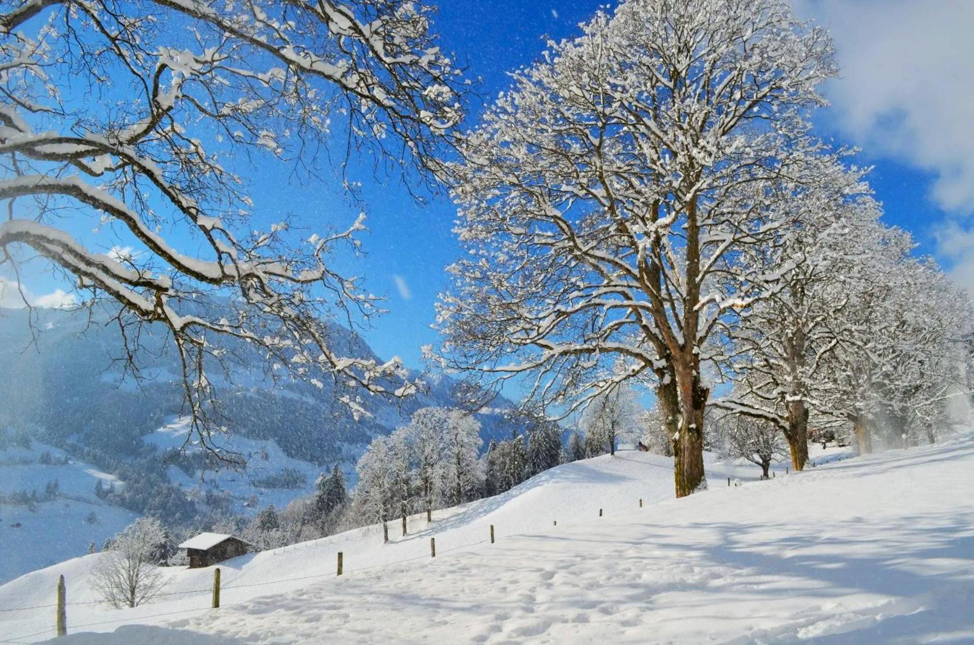 Swiss Mountain-Valley View Lodge