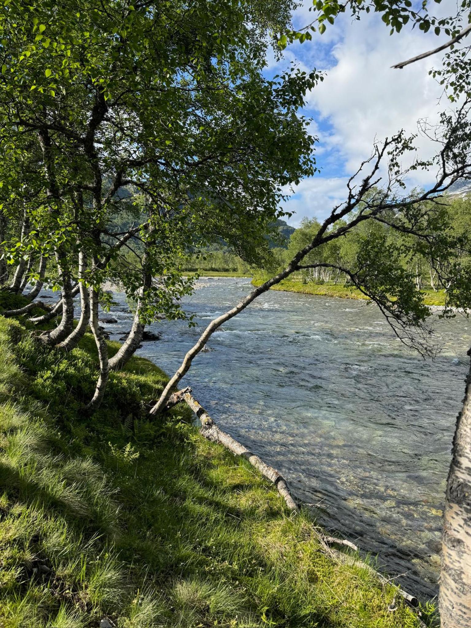 Handeland Lodge Near Trolltunga and Pulpit Rock Sleeps 18 with Sauna