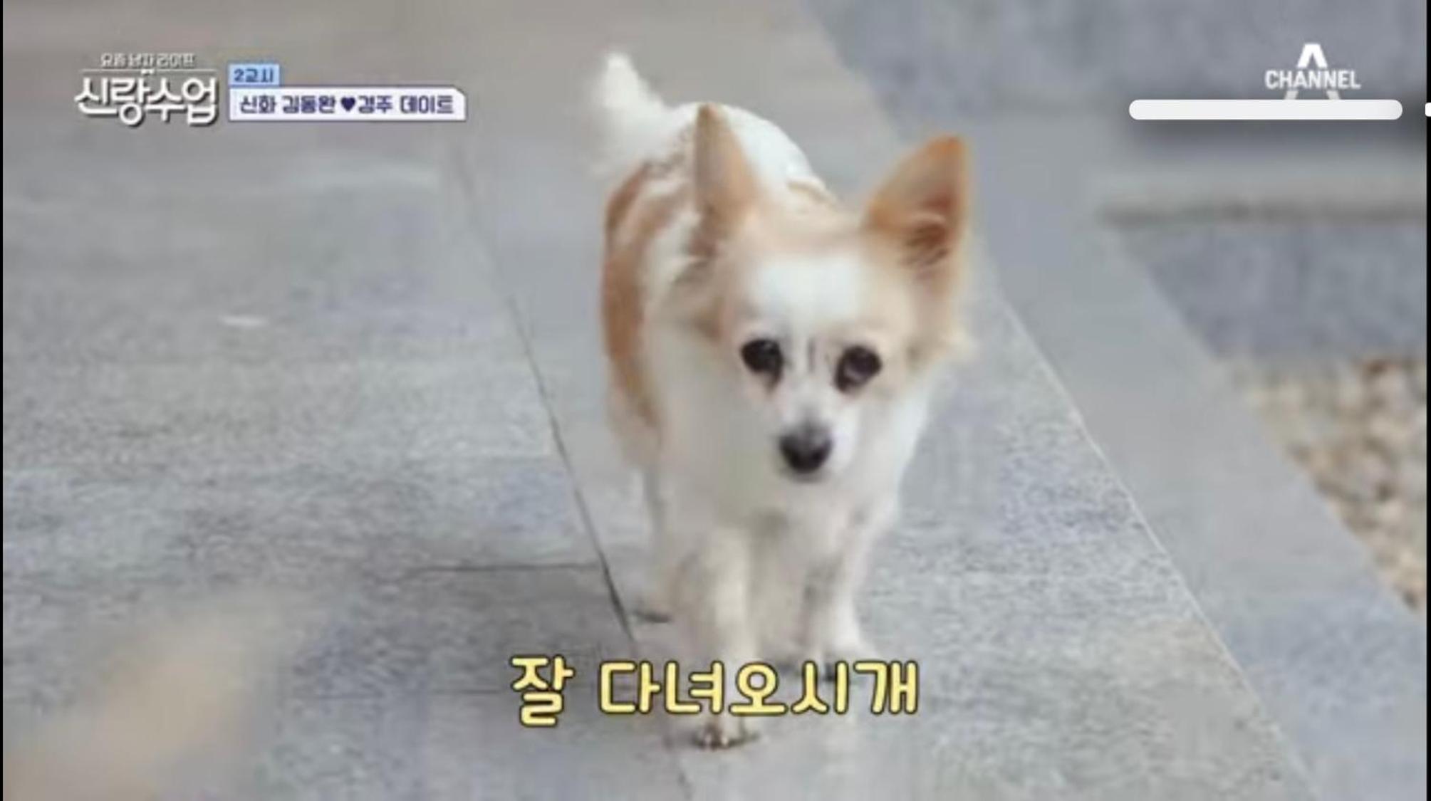 Verbena Hanok