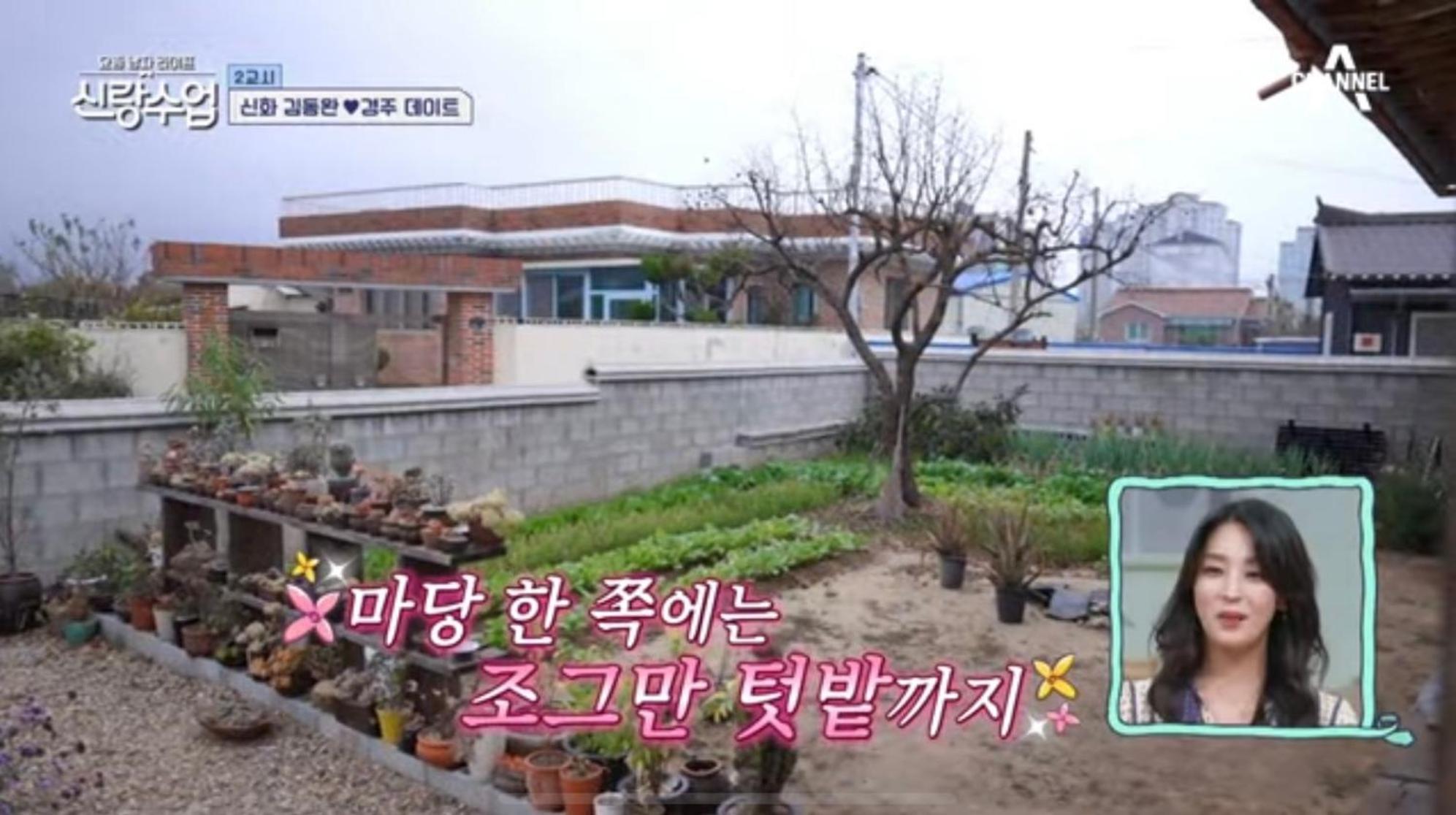 Verbena Hanok