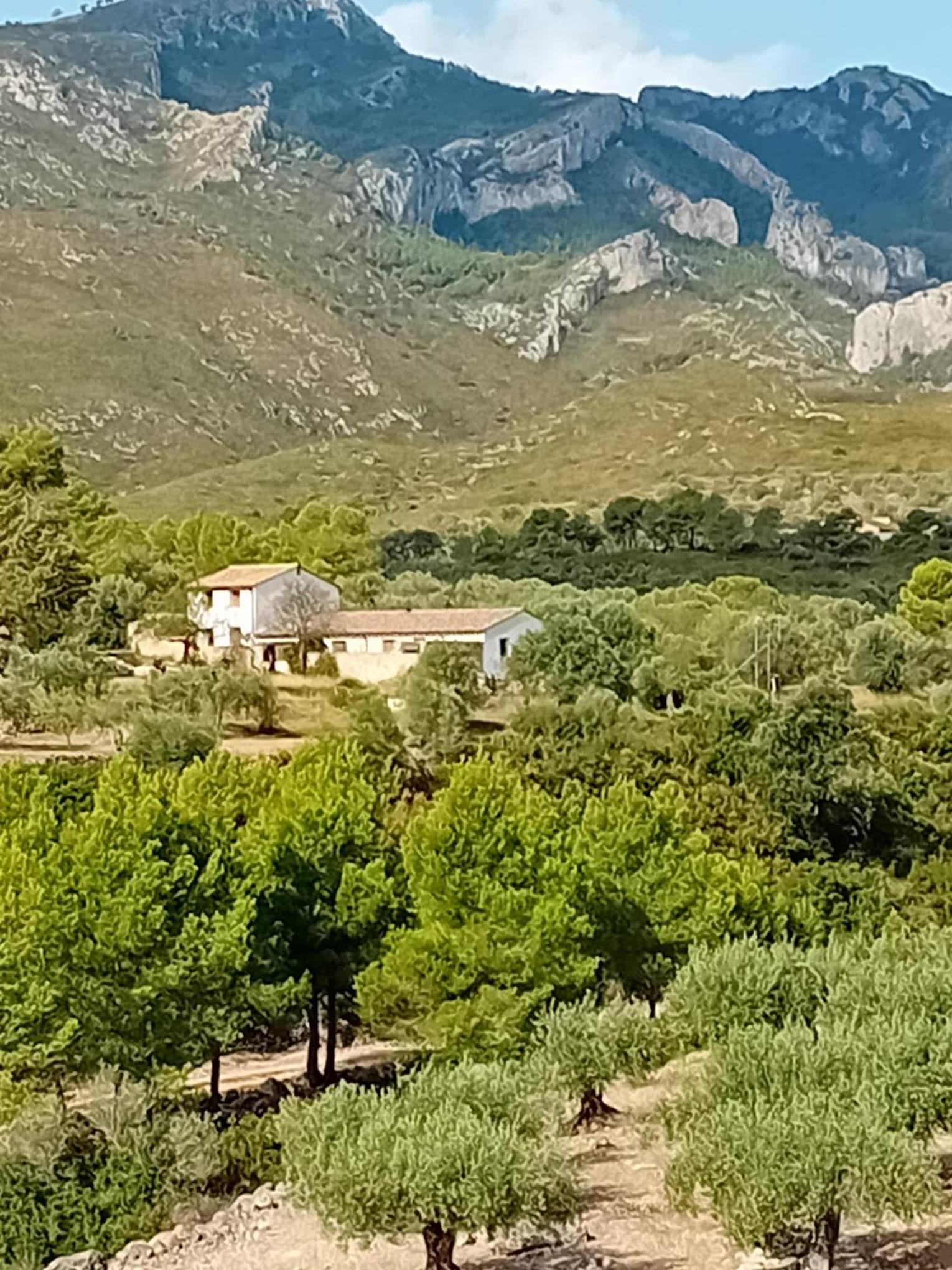 Casa Solans - Casa Rural view 2