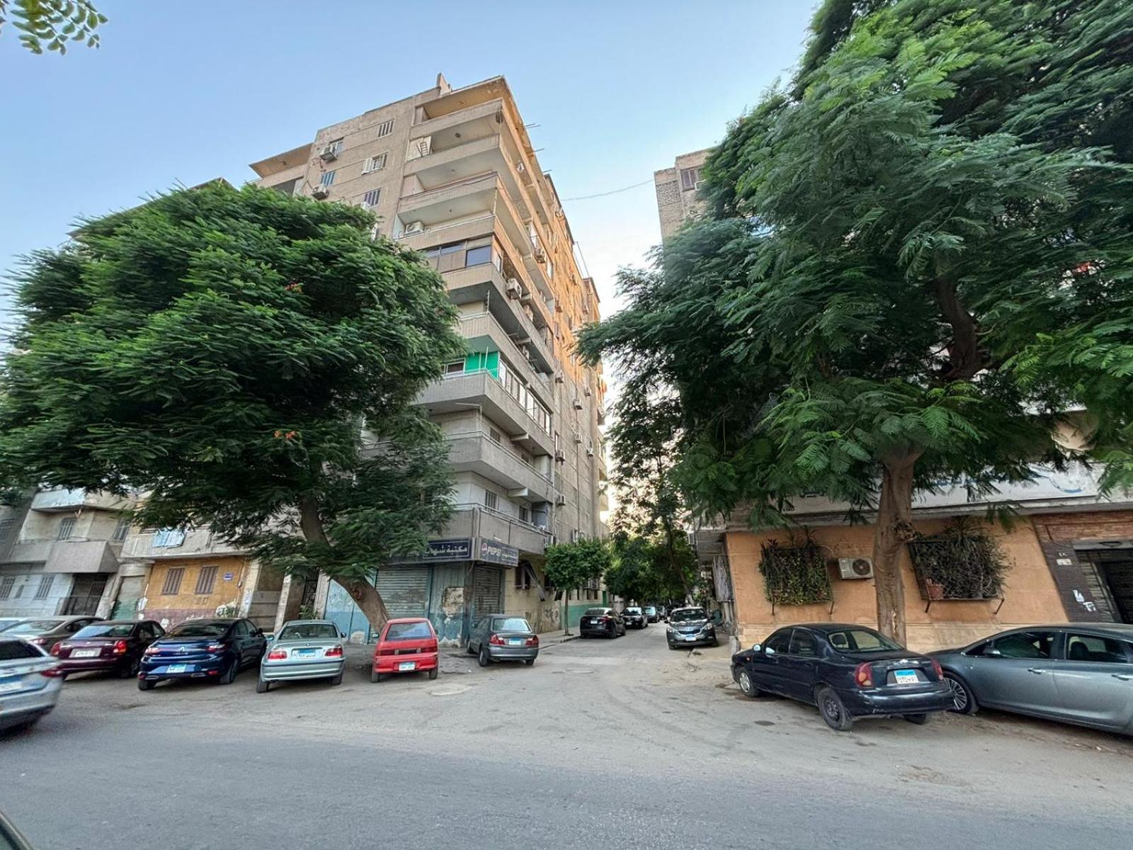 Brand new flat near the Nile