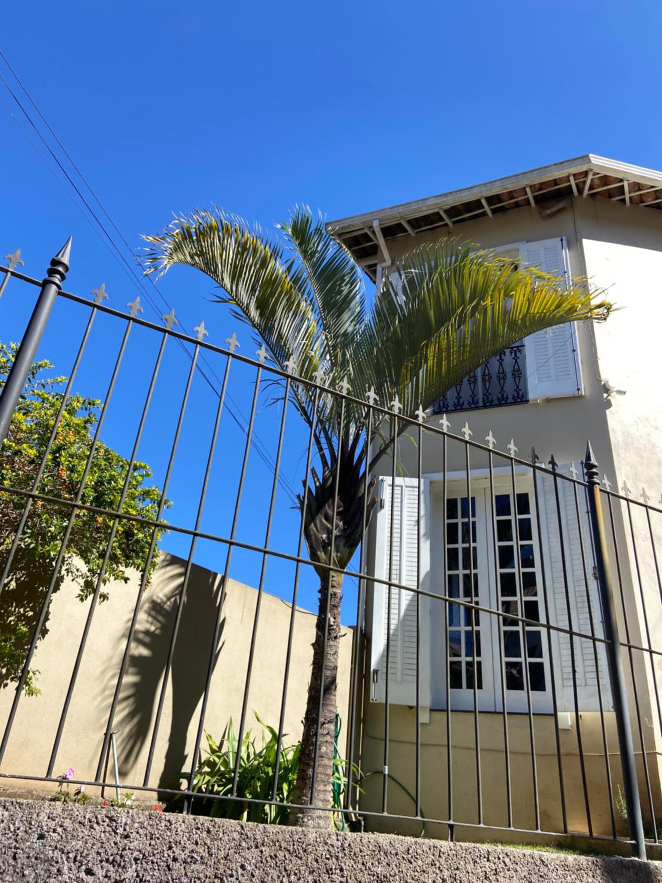 Casa arejada e iluminada, cozinha completa