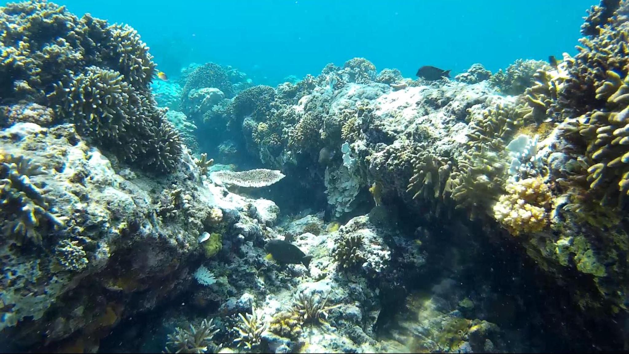 Photo 60