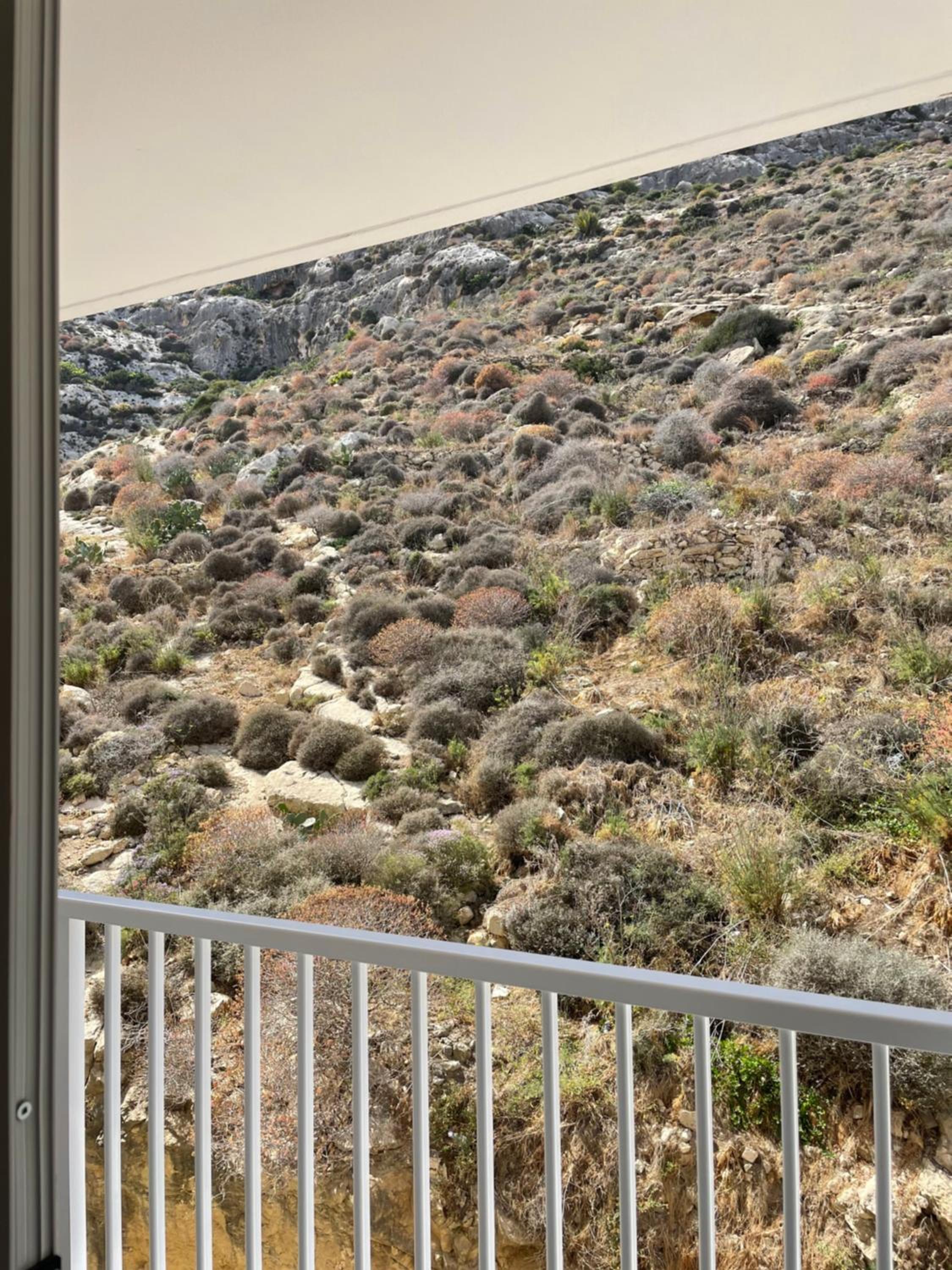 Xlendi Apartments