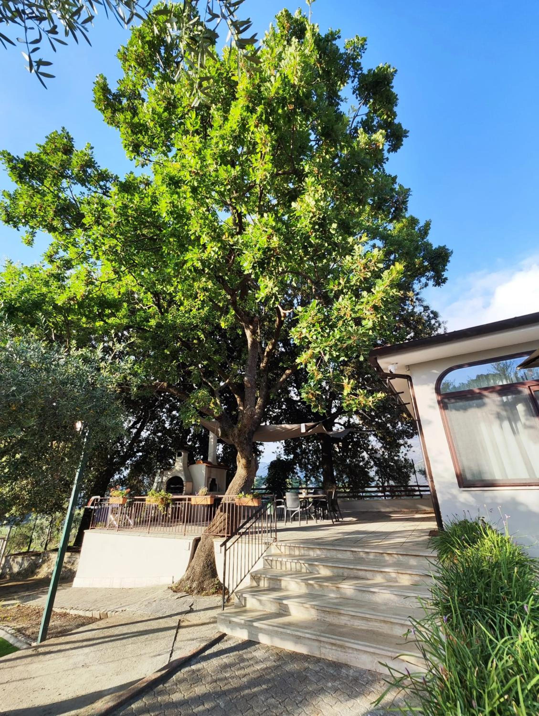 Photo 26