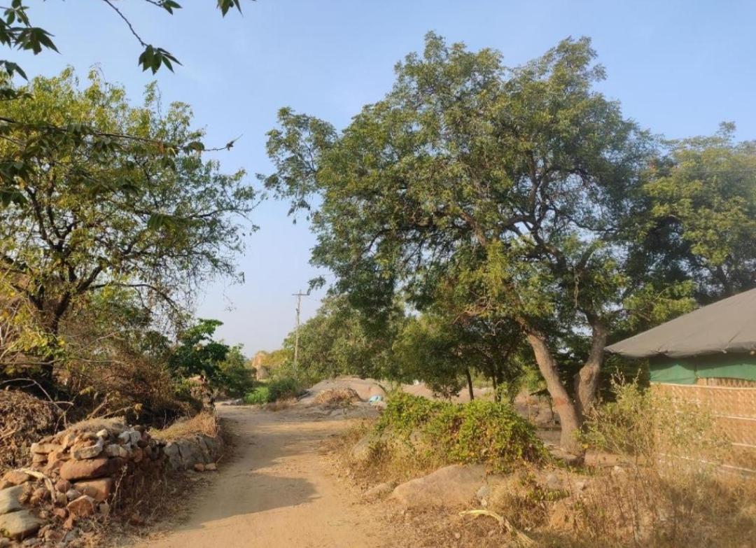 Aadhya Home Stay Hampi view 2