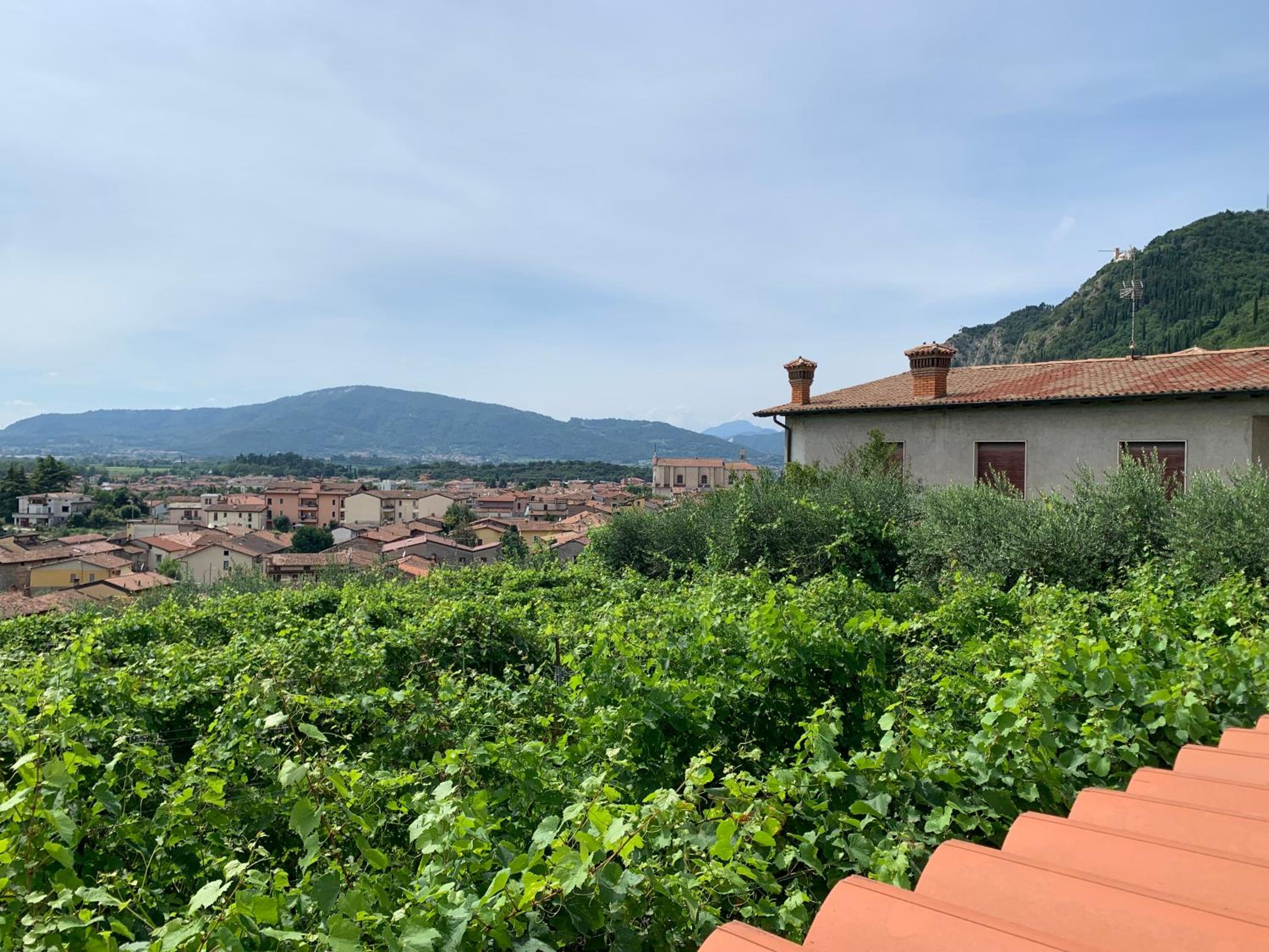 Antica trave