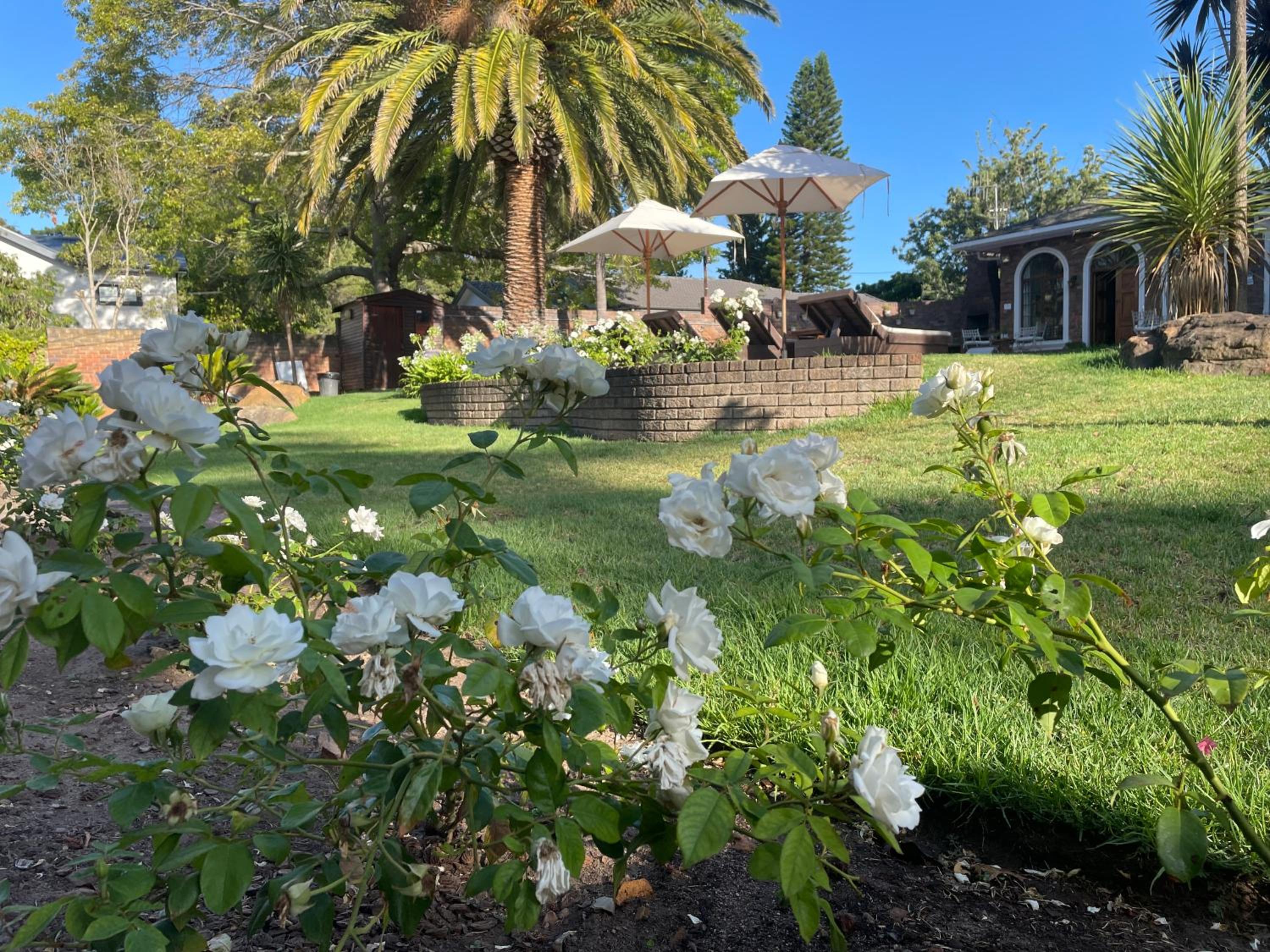 Boutique Villa Guesthouse