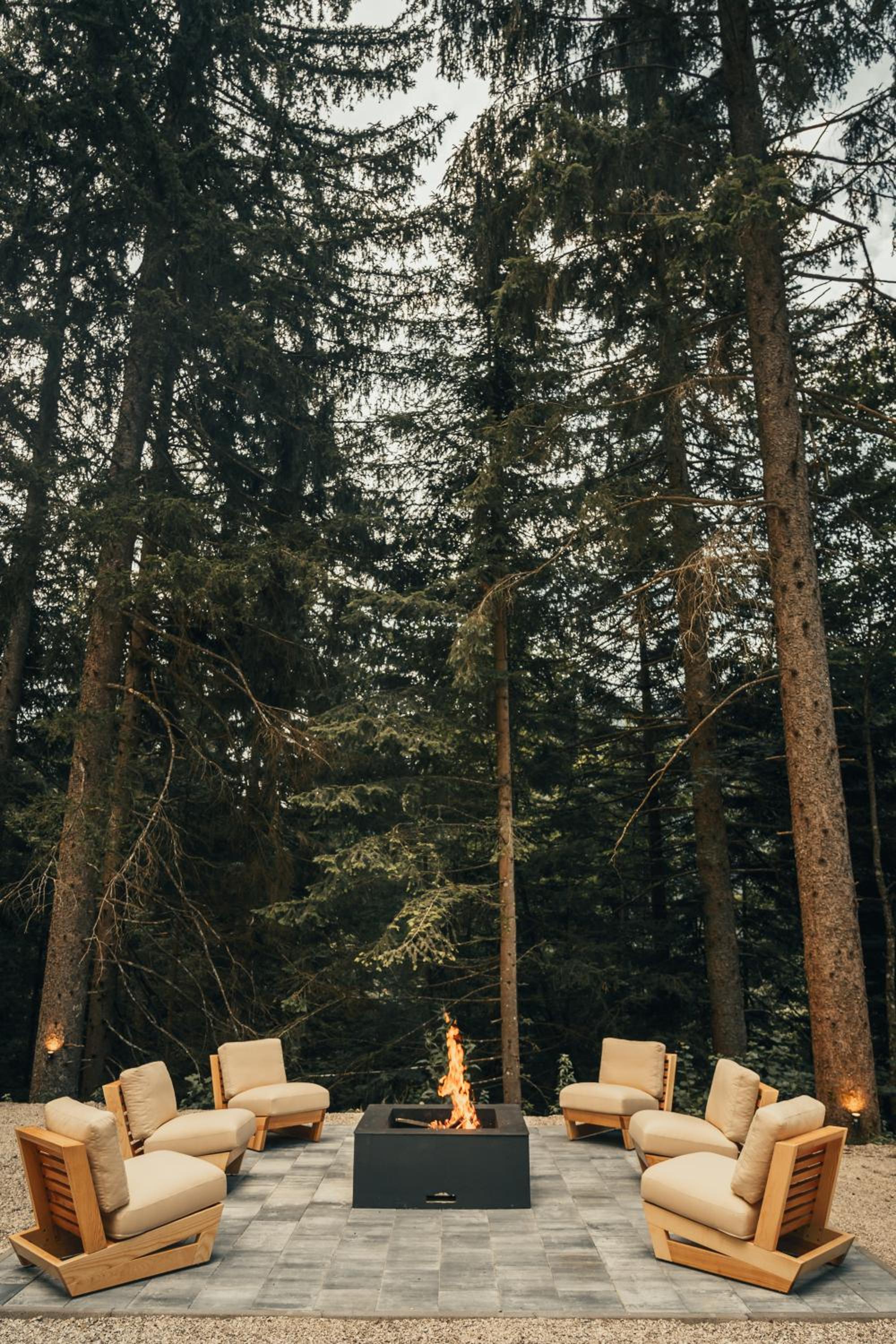 The Cozy Chalet