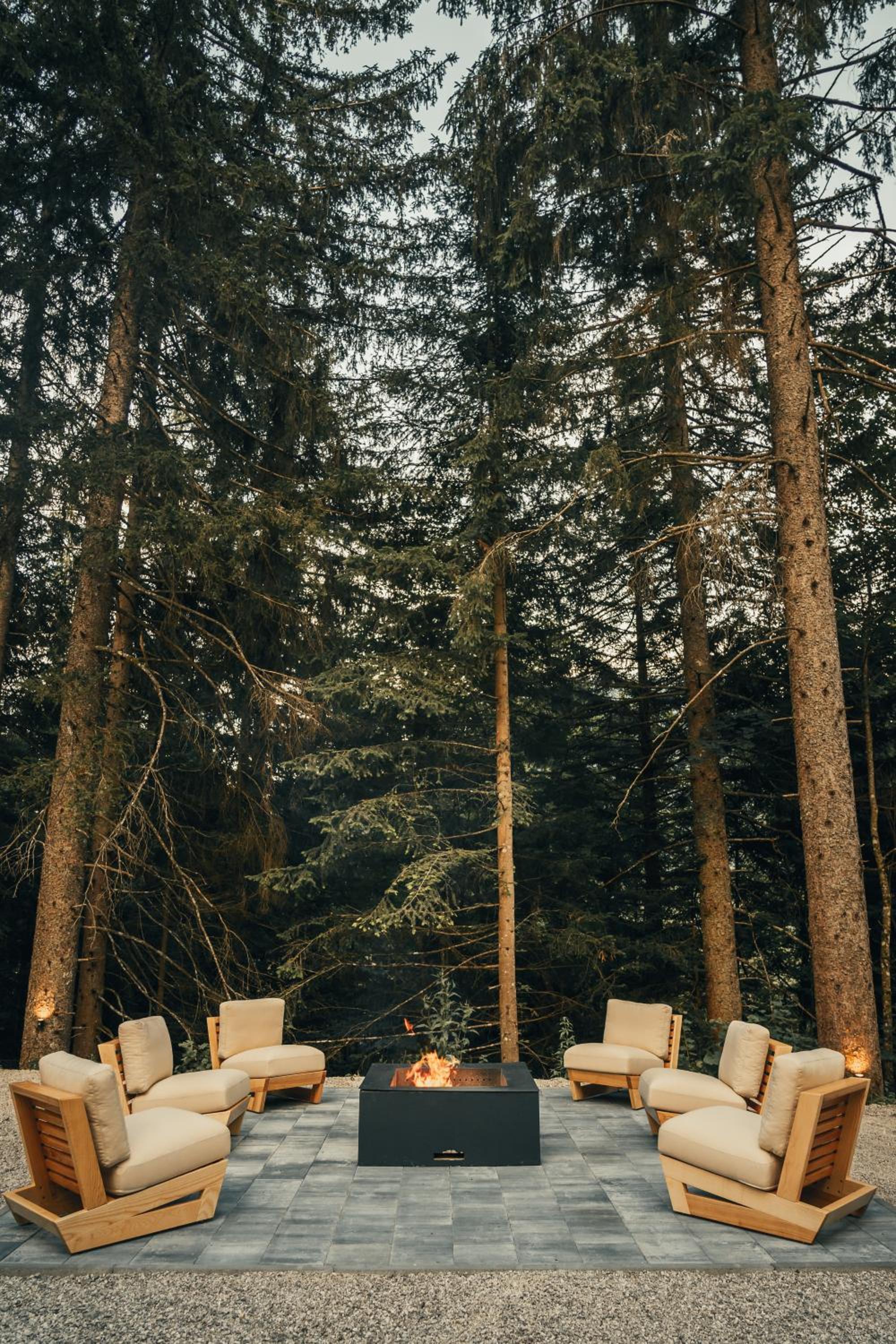 The Cozy Chalet