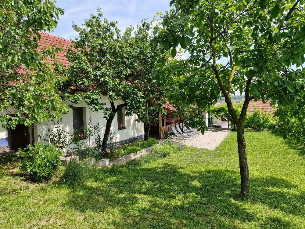 Apartmány pod pergolou