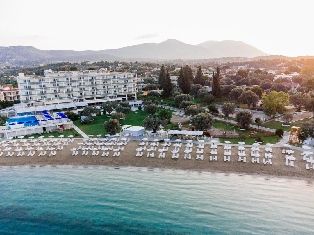 Hotel Palmariva Beach Hotel - Image 1