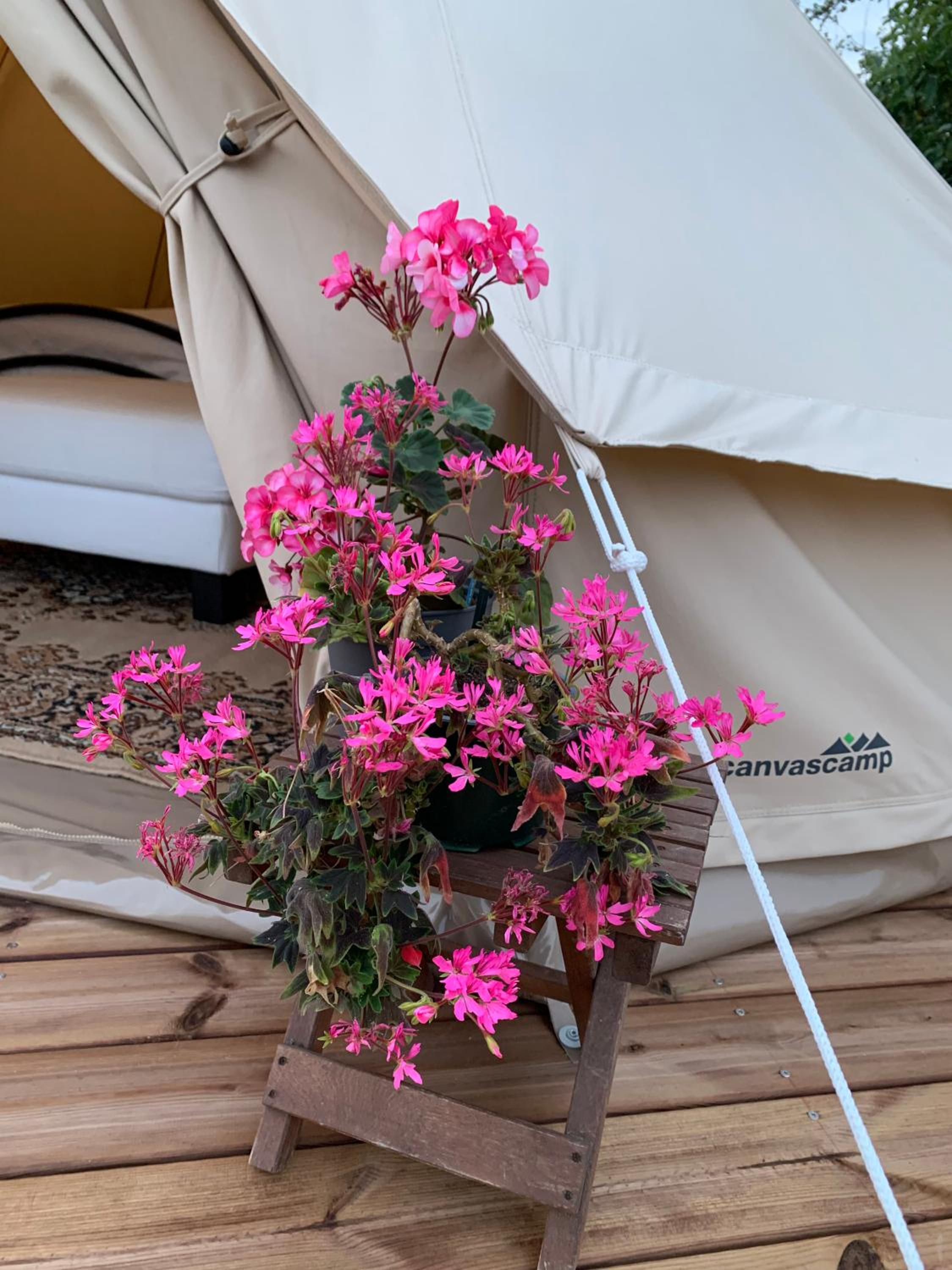 Glamping Ponsa