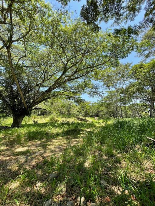 Paraiso del Cauca