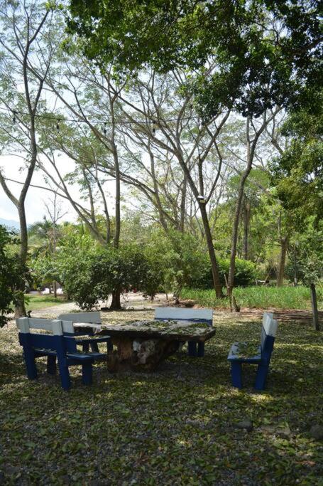 Paraiso del Cauca