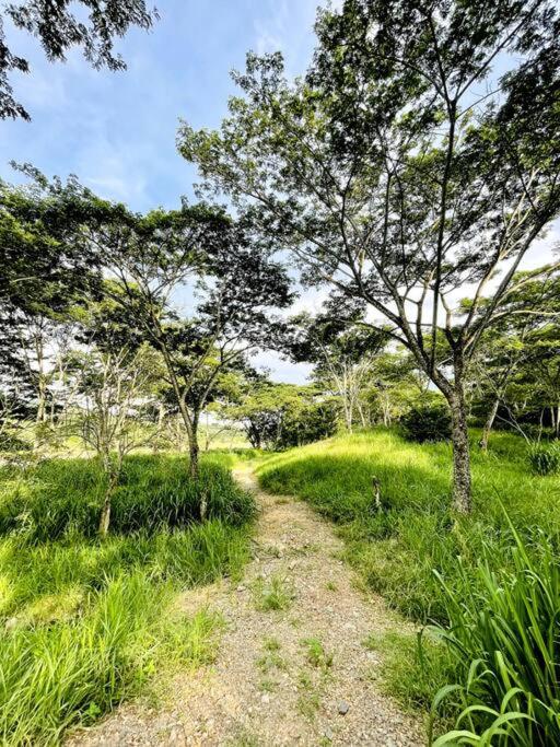 Paraiso del Cauca