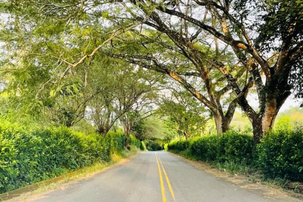 Paraiso del Cauca