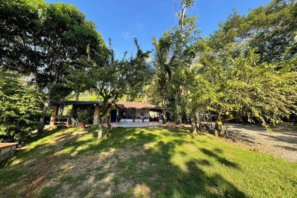 Paraiso del Cauca