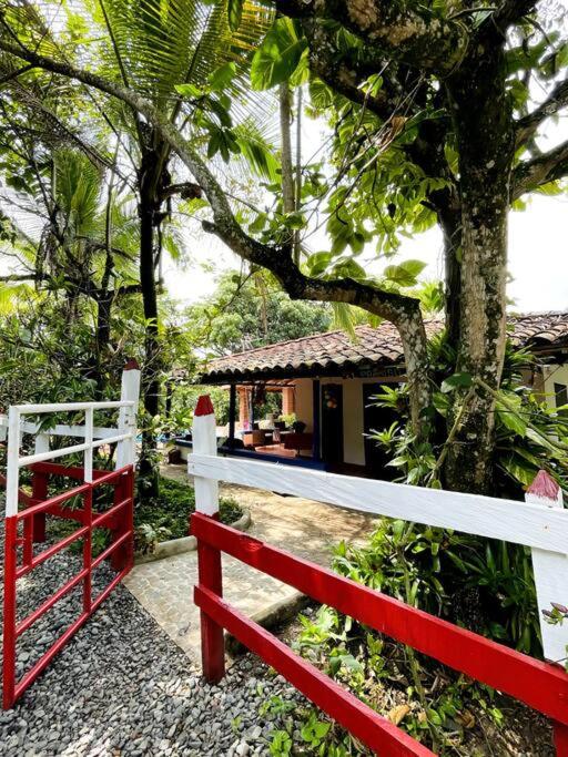 Paraiso del Cauca
