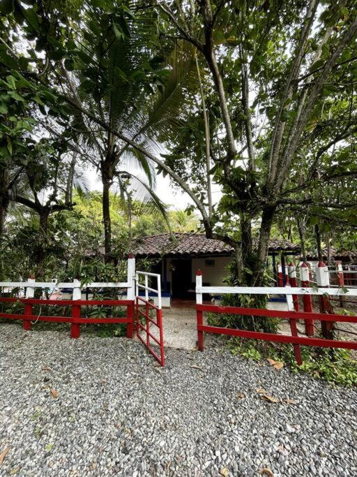 Paraiso del Cauca