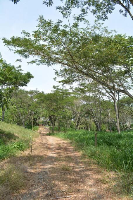 Paraiso del Cauca