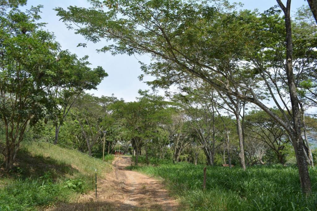 Paraiso del Cauca