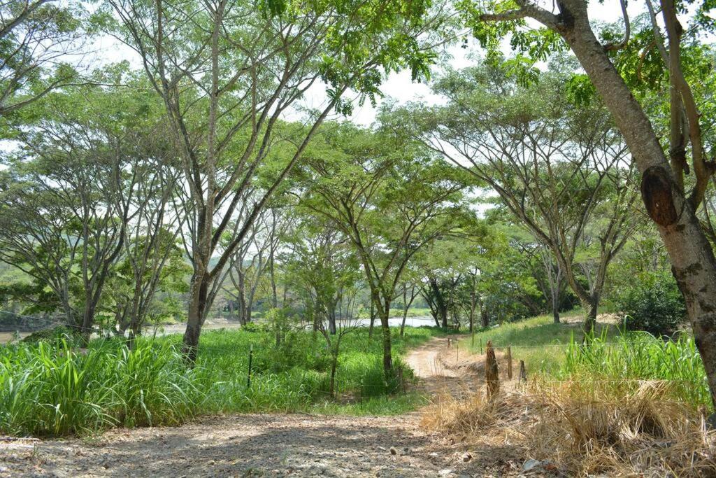Paraiso del Cauca