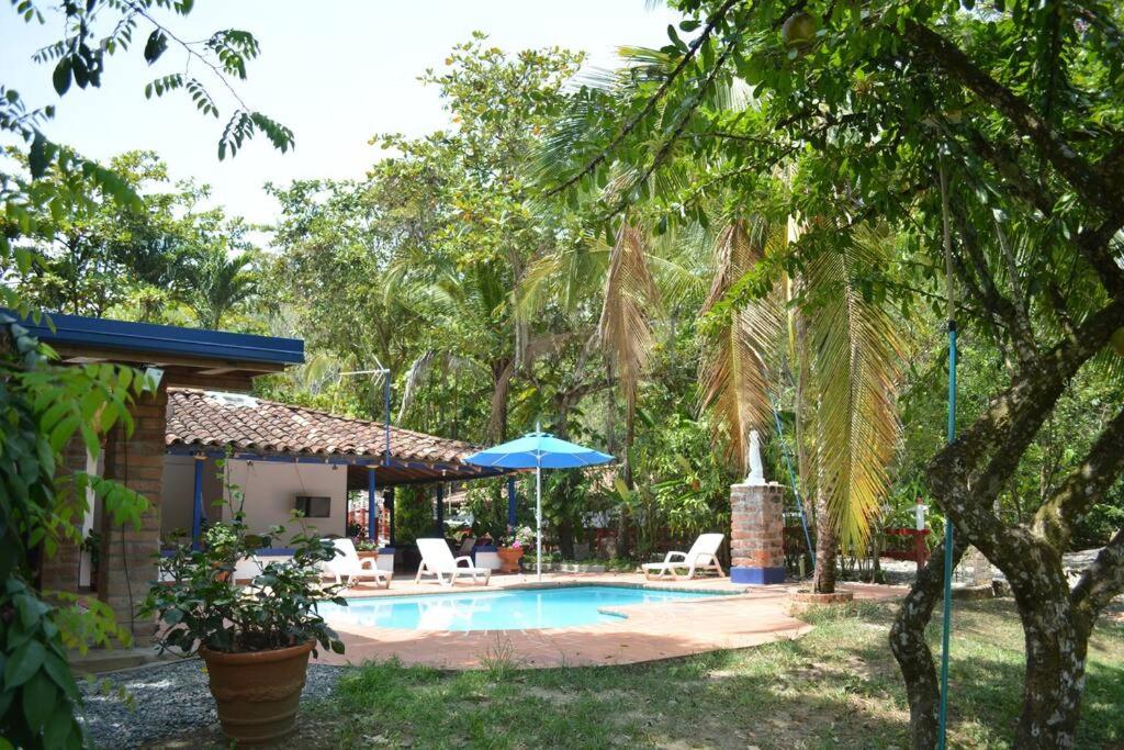 Paraiso del Cauca