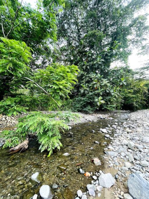 Paraiso del Cauca