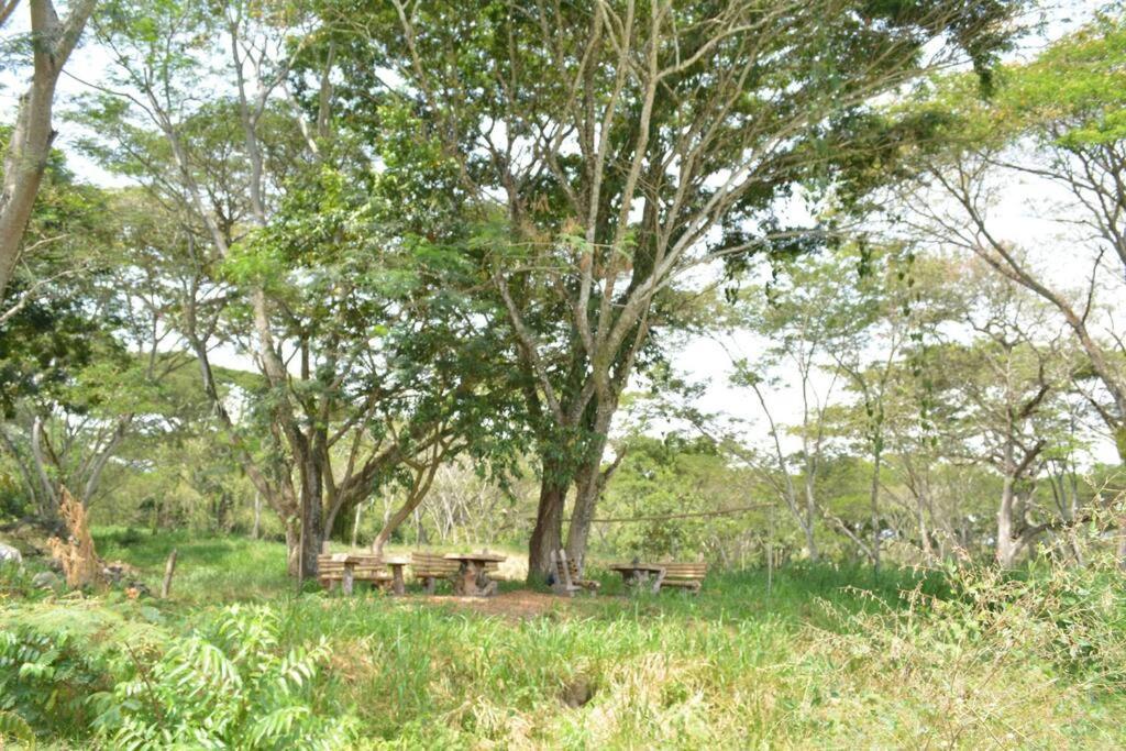 Paraiso del Cauca