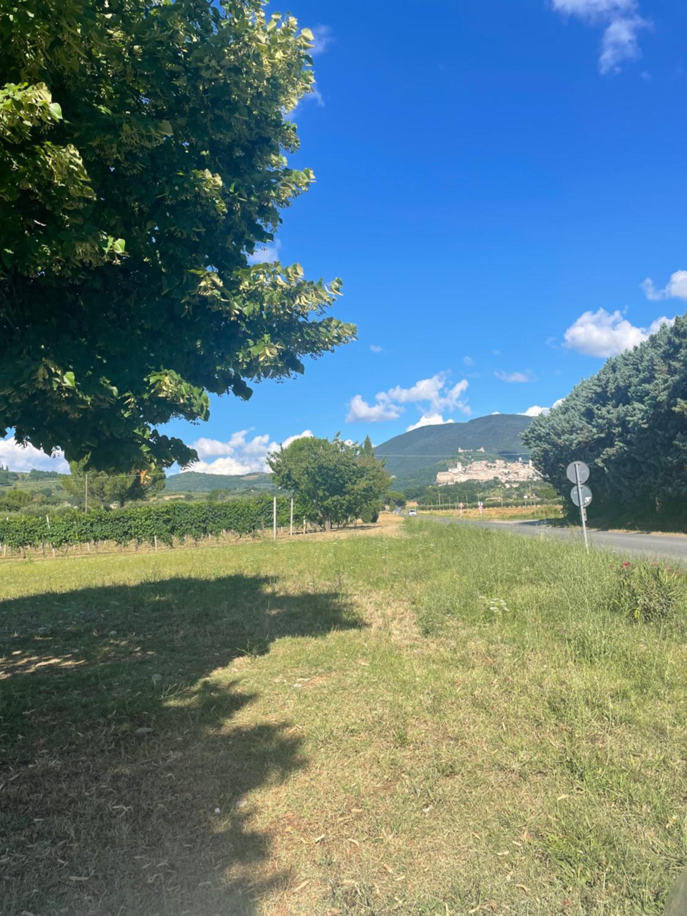 Il Casale Appartamento Assisi