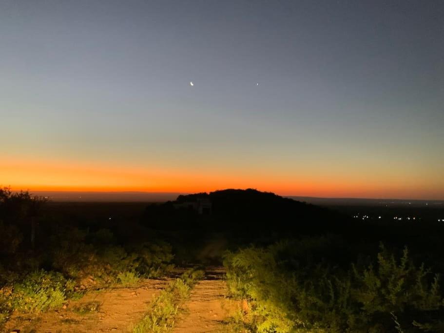 El rey de la montaña