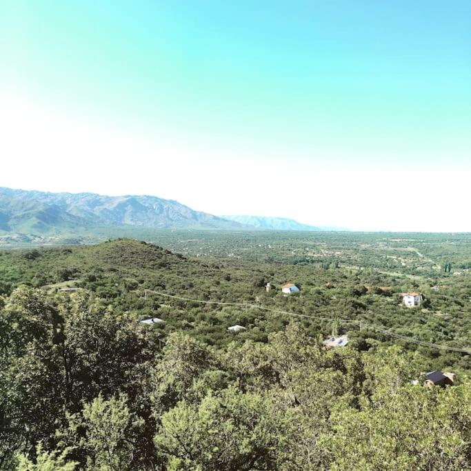 El rey de la montaña
