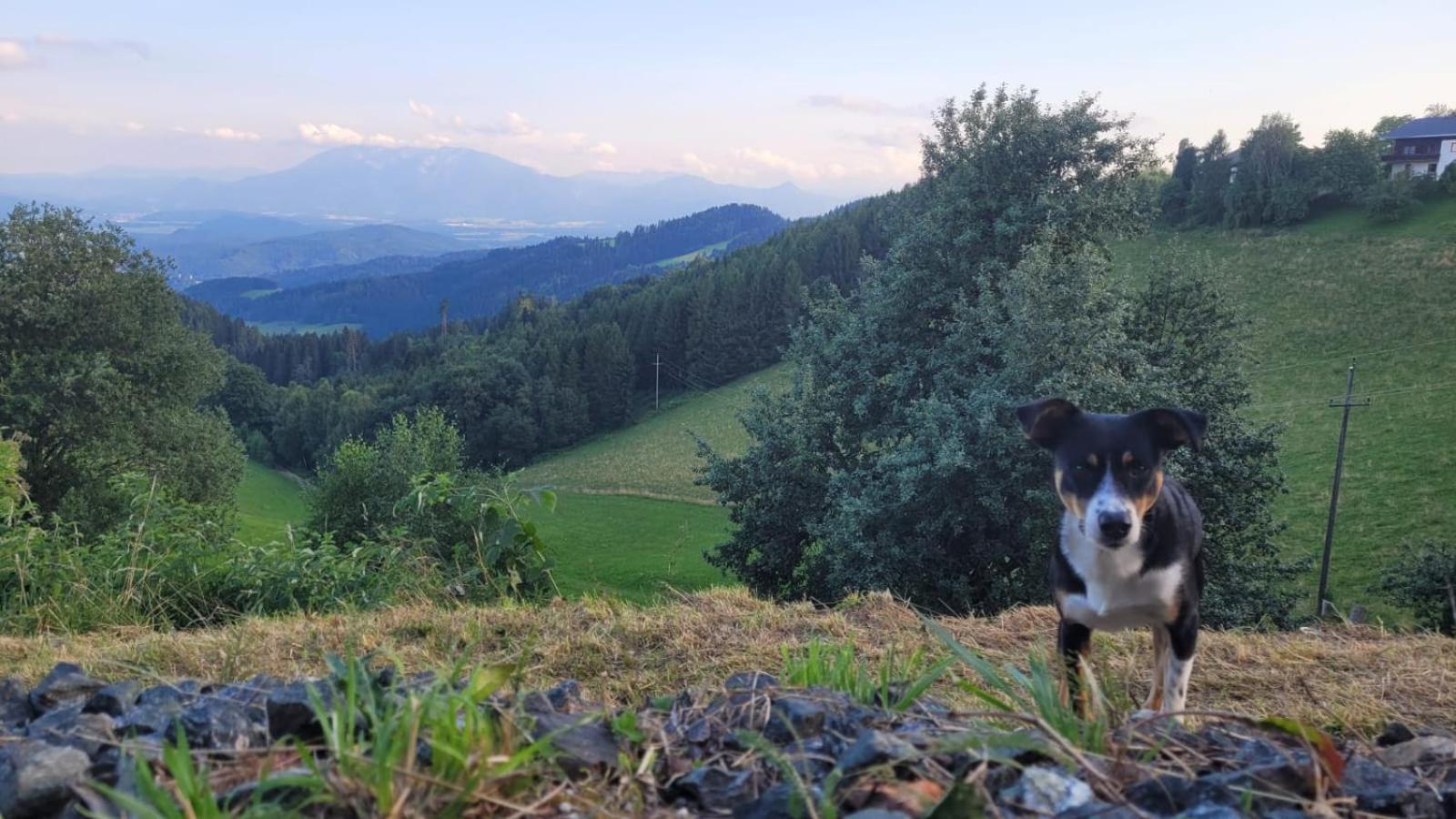 Gasthof Machwirth